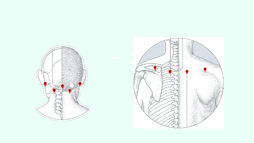 punti vento testa e collo